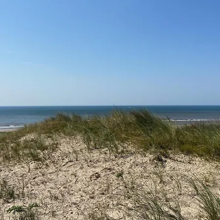 Feriehus Cozy In With Wifi Bergen aan Zee