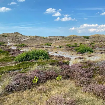 Cozy In With Wifi * Bergen aan Zee